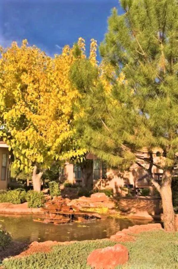 Sedona Pines Resort Εξωτερικό φωτογραφία A tree in the fall